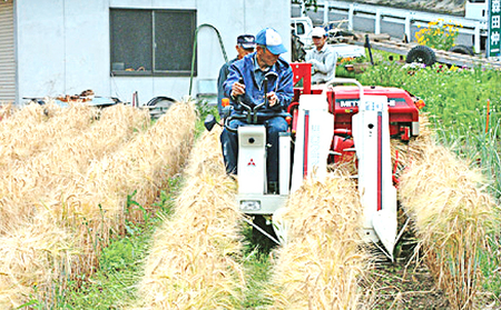 地ビール 「花笠」2本セット 高梁市 宇治町産 お酒 酒 