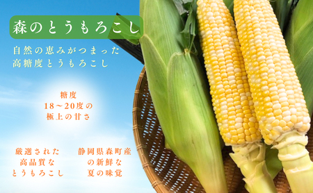 とうもろこし 先行予約 森のとうもろこし 9～11本 甘々娘 甘太郎 産地直送 野菜 夏野菜 夏 2026年