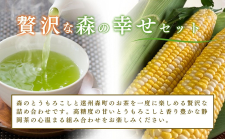 【2026年産】先行予約 とうもろこし 新茶 セット 詰め合わせ しんちゃん農園 甘々娘 甘太郎 甘い 森のとうもろこし 8～9本 緑茶 1パック トウモロコシ 茶 日本茶 静岡茶 煎茶 2026年 静岡 森町