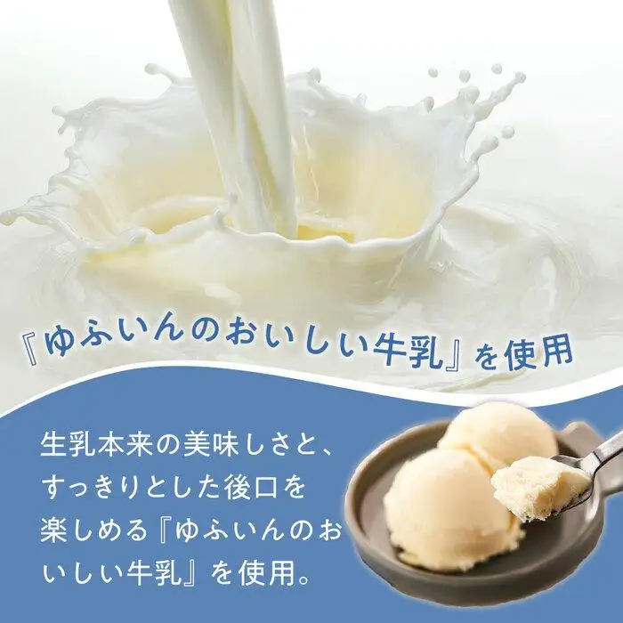 業務用 アイスクリーム バニラ 2L ＜『ゆふいんのおいしい牛乳』使用＞【大容量 家庭用 2リットル】アイス