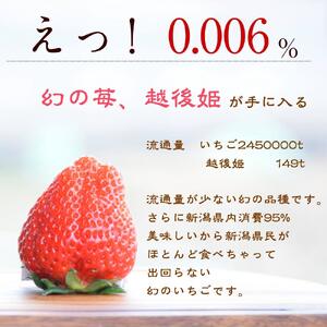 いちご 新潟 雪国完熟越後姫シングル（約380g）ギフト箱入り イチゴ 苺 フルーツ お取り寄せ 贈り物 上越