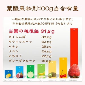 いちご 新潟 雪国完熟越後姫桃薫 約200g×2P食べ比べセット イチゴ 苺 お取り寄せ ギフト 贈り物 上越