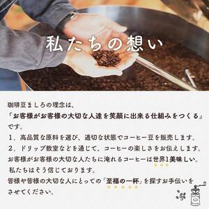 【向島の珈琲豆焙煎所】スペシャルティコーヒー詰め合わせ4