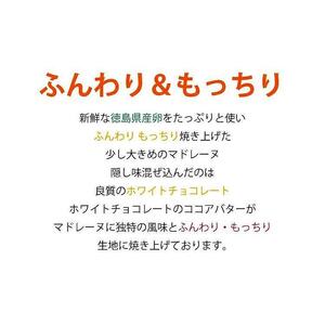 大きなマドレーヌ　12個