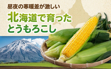 【8月下旬以降順次発送】スイートコーン 味来 13本 2Lサイズ / とうもろこし [AJAK006]