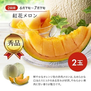 SE0484　【3回定期便】おいしい酒田 マルっとお届け便2026(1) 3月下旬～ (いちご、紅花メロン、刈屋梨)