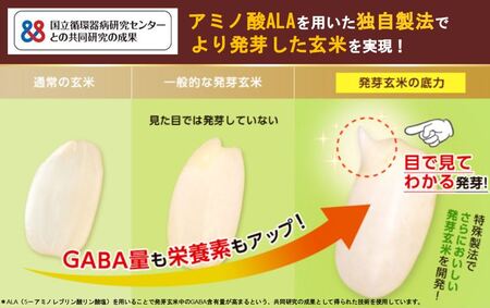 発芽玄米 1kg 1袋 発芽玄米