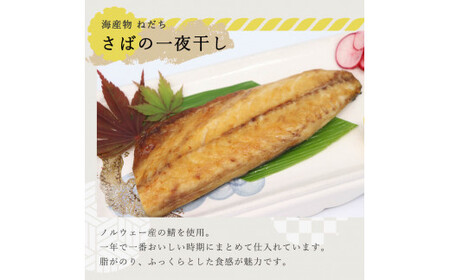 ねだち　自家製一夜干し詰合せ