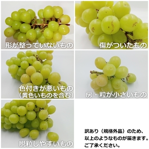 【2026年発送】山形のぶどう(ご家庭用訳ありシャインマスカット)約2kg（2～10房）_H196(R8)