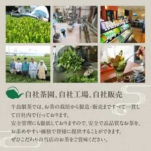 【ギフト対応可能】八女極上深蒸し茶セット 028-008