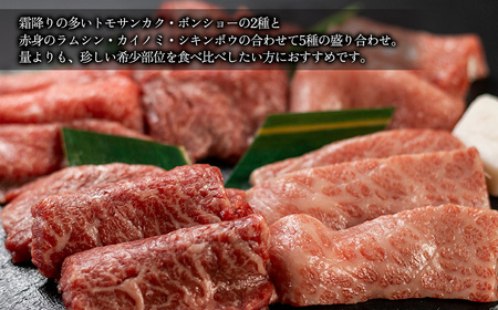 【数量限定】飛騨牛 希少部位5種 焼肉盛り合わせ 各100g  計500g  (ラムシン、ボンショー、カイノミ、トモサンカク、シキンボウ) 【70-45】