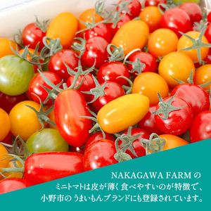 ミニトマト 品種 MIX 1.3kg[ トマト 有機質肥料 ] 野菜 食材 国産 国産野菜 緑黄色野菜 サラダ 付け合わせ 