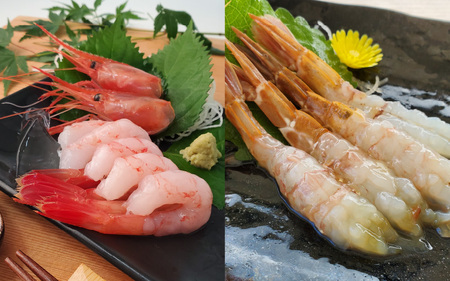 【先行予約】山陰地エビ2種食べ比べセット　計1kg以上（甘エビ・ガラエビ） ※2026年6月上旬順次発送予定 
