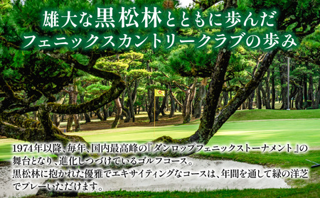ゴルフ場利用券 ゴルフ ゴルフプレー 《翌月発券》 平日 ゴルフ