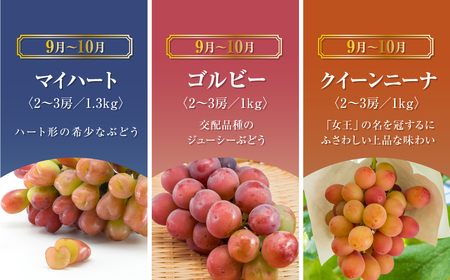 ぶどう詰め合わせ6種 かんおぶどう農園／大粒ぶどう詰め合わせ約2kg(3〜4品種)