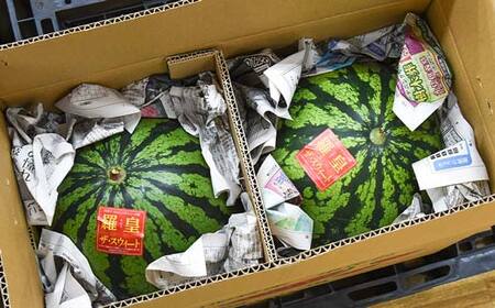 【2026年産 先行予約】山形県産 すいか 訳あり 2L/3L 玉2玉 (約6.8kg 前後×2) スイカ 西瓜 デザート フルーツ 果物 くだもの 果実 食品 山形県 FSY-2397