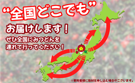 飯綱町PRキャラクター みつどん 旬のりんご 家庭用 5kg 全国お届け便 品種はおまかせ あたなのお家にお届けします！ 信州 果物 フルーツ りんご 林檎 長野 飯綱 いいづな PR キャラクター 妖精 ゆるキャラ ご当地キャラ かわいい 長野県 飯綱町 [1774]