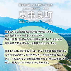 【0014601a】＜返礼品なし＞鹿児島県本土でいちばん小さな町「東串良町」への寄附(1口：1,000円)