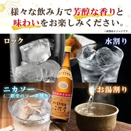 【毎月定期便】大分むぎ焼酎二階堂(20度(1.8L)×6本) 全12回_大分むぎ焼酎 二階堂 麦焼酎 焼酎 酒 酒セット 焼酎セット  まとめ買い 酒の定期便_【4007327】