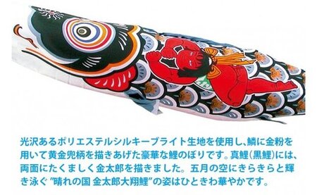 KC-6　2m　金太郎大翔プレミアムベランダスタンドセット