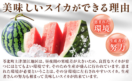 【先行予約】上津深江すいか 1玉 スイカ