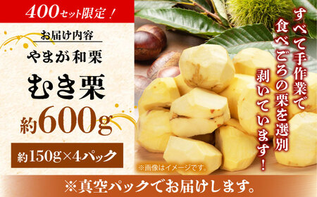 【先行予約】 やまが和栗 大粒むき栗 約600g（約150g×4pc）小分け【古川農園】小分け むき栗 大粒 熊本 山鹿 和栗 くり クリ 冷凍 国産 [ZES001]