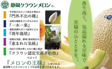 クラウンメロン 白中玉 2玉入　【配送不可：離島】 果物類 フルーツ 