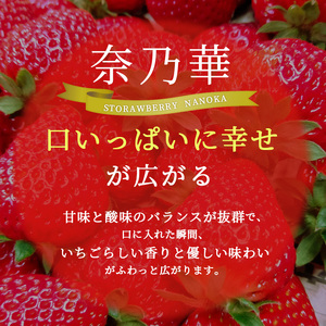 先行予約 【いちご 完熟 奈乃華 約1080g(270g× 4パック ) 佃農園のこだわり フルーツ 果物 旬 産地直送 旬のフルーツ 旬の果物 お取り寄せ デザート イチゴ 苺 なのか 冷蔵 奈良 奈良県 大和郡山市 BN001