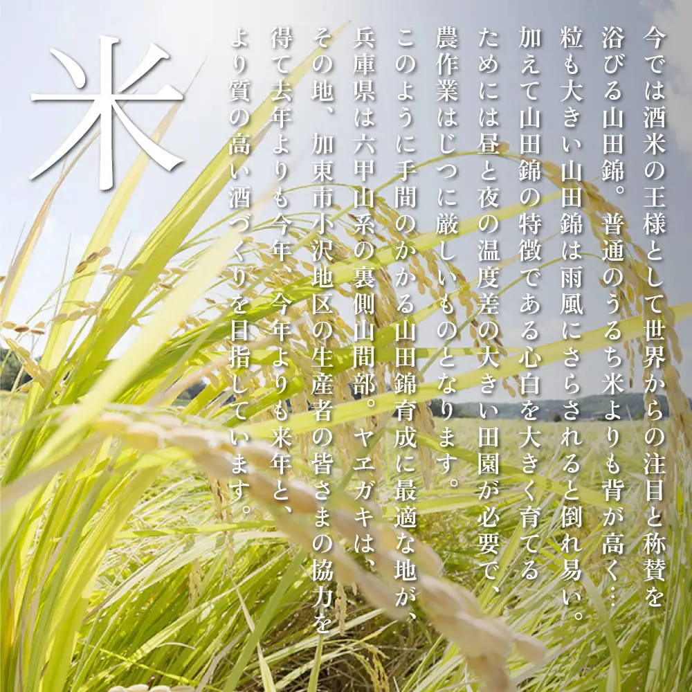 [ 八重垣 ] 八重墻 純米吟醸 720ml ヤヱガキ酒造 加東市特A地区 東条産山田錦使用[ ヤエガキ 小沢地区産 日本酒 酒 お酒 四合瓶 贈答品 辛口 ] 純米吟醸酒 