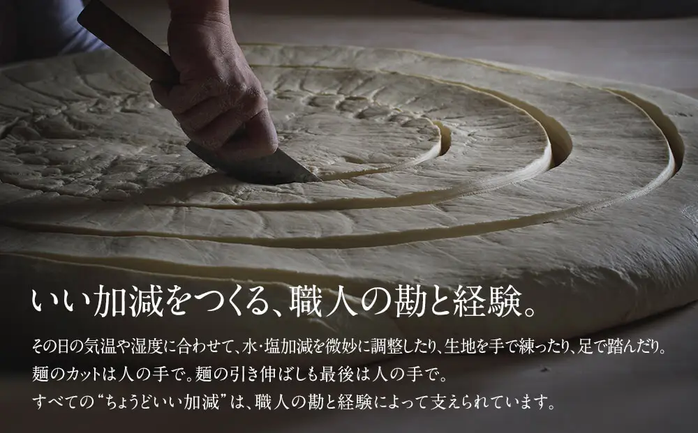 【氷見名物】海津屋 氷見うどん 細麺 200g×7袋 | 手延べ 乾麺 常温保存 自宅用　うどん