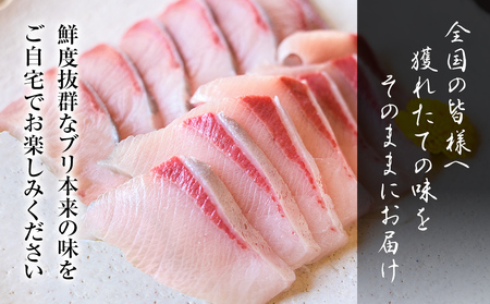 【お試しサイズ!】氷見天然ブリしゃぶしゃぶ用150g〈冷凍〉【寒ぶり】 ぶりしゃぶ 鰤 国産 天然 ブリ 富山県 氷見市  鰤 凍眠凍結製法 ブリ しゃぶしゃぶ用 スライス 天然 鰤 ぶりしゃぶ 鮮度抜群 ブリ 獲れたての味を しゃぶしゃぶ 