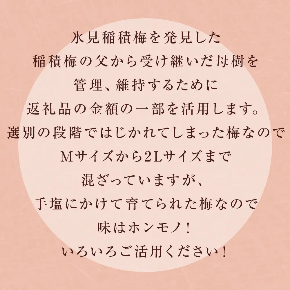 【訳あり】【先行予約】MOTTAINAI 氷見稲積梅 2kg ＜2026年6月下旬発送予定＞ | 生梅