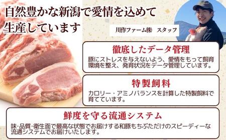和豚もちぶた こま切れ 1.5kg （300g×5パック） セット もち豚 豚こま お肉 肉 豚肉 豚 おかず 惣菜 朝ごはん お弁当 小分け 真空パック 冷凍 新潟県 新潟 