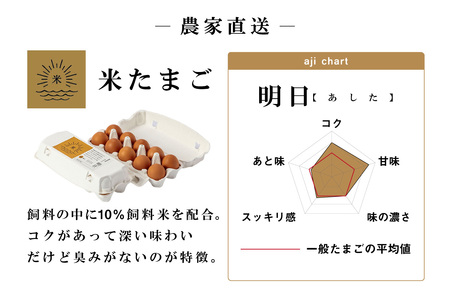 【12ヵ月定期便】ココテラスの明日（赤たまご）55個 + 5個保証（計60個）【JGAP認証】 農家直送 新鮮 卵 タマゴ 赤卵 玉子 鶏卵 朝食 夕食 夜食 朝ごはん たまご焼き オムレツ 卵ご飯 料理 濃厚 飼料にこだわった 卵かけご飯 米たまご 生卵 大容量 お取り寄せ 愛知県 常滑市