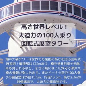 瀬戸大橋タワー　大人入場券　1枚