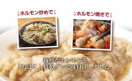 【味付き焼肉セット】＆【新鮮ホルモン】食べ比べ　専門店焼肉セット2～3人前！とミックスホルモンセット