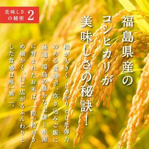 常磐名物【ごちそう鯛めし 2合セット】炊飯器だけで完成 簡単調理 | 骨なし 旨味 出汁 添加物不使用 無添加 三つ星 グルメ 福島県 いわき市