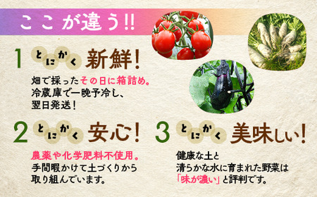 【12回定期便】＜アスカ有機農園＞旬の京野菜セットＬ 野菜
