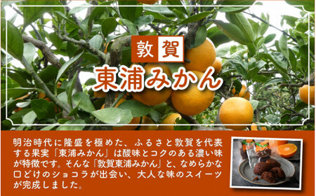 [009-a006] 敦賀 しょこらオランジェ 15個