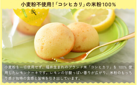 [009-a011] 小堀日之出堂 洋菓子・和菓子の焼菓子詰合わせ 15個入り