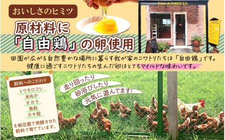 [037-a010_A] カットシフォンケーキ 10個セット（プレーン5個 、紅茶5個）