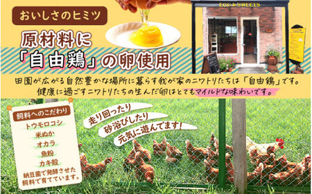 [037-a013_A] たまごやさんの濃厚ニューヨークチーズケーキ（大 420g）