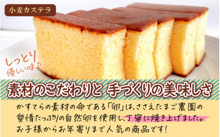 [037-a009_A] 小麦かすてらとニューヨークチーズケーキ（小）の詰め合わせ