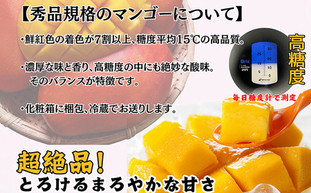 【2026年発送先行予約】沖縄県【又吉農園】　秀品アップルマンゴー　1kg以上 完熟 マンゴー アップル 南国 沖縄 国産 フルーツ くだもの 果物 果実 産地直送 贅沢 濃厚 スイーツ デザート 旬の果物 贈答用 ギフト 贈り物 プレゼント