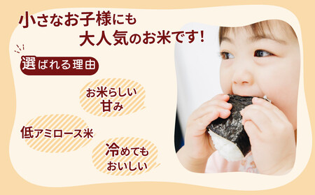 【定期便 5ヶ月】令和7年産 茨城県産 ミルキークイーン 精米4kg（2kg×2袋）※離島への配送不可 ※2025年10月頃より発送開始