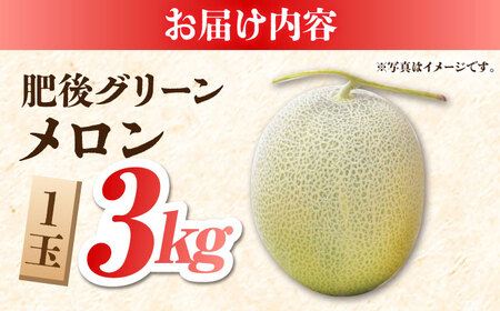 熊本メロン先行予約 肥後グリーンメロン1玉約3kg糖度16度以上めろんZBY004