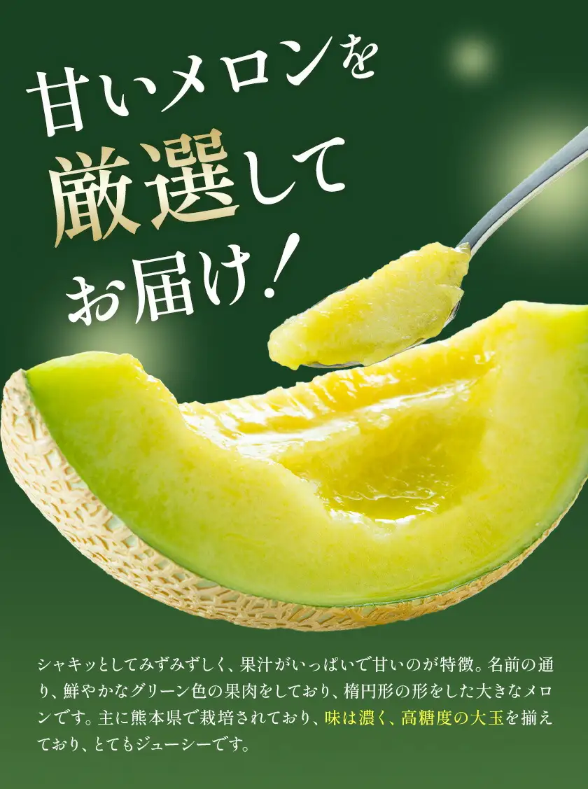 肥後グリーンメロン 1玉 2L以上【メロンドーム】 メロン 果物 フルーツ 九州産 熊本県産 送料無料【2026年5月中旬頃より出荷】【先行予約】