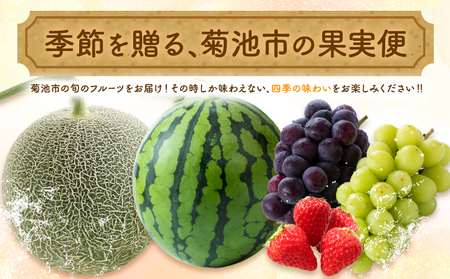 【4回定期便】旬のフルーツ便【養生市場】 定期便 ぶどう詰め合わせ約1.5kg メロン約2kg×2玉 いちご   スイカ《2026年4月中旬-2027年3月上旬頃出荷》 果物 フルーツ 九州産 熊本県産 送料無料