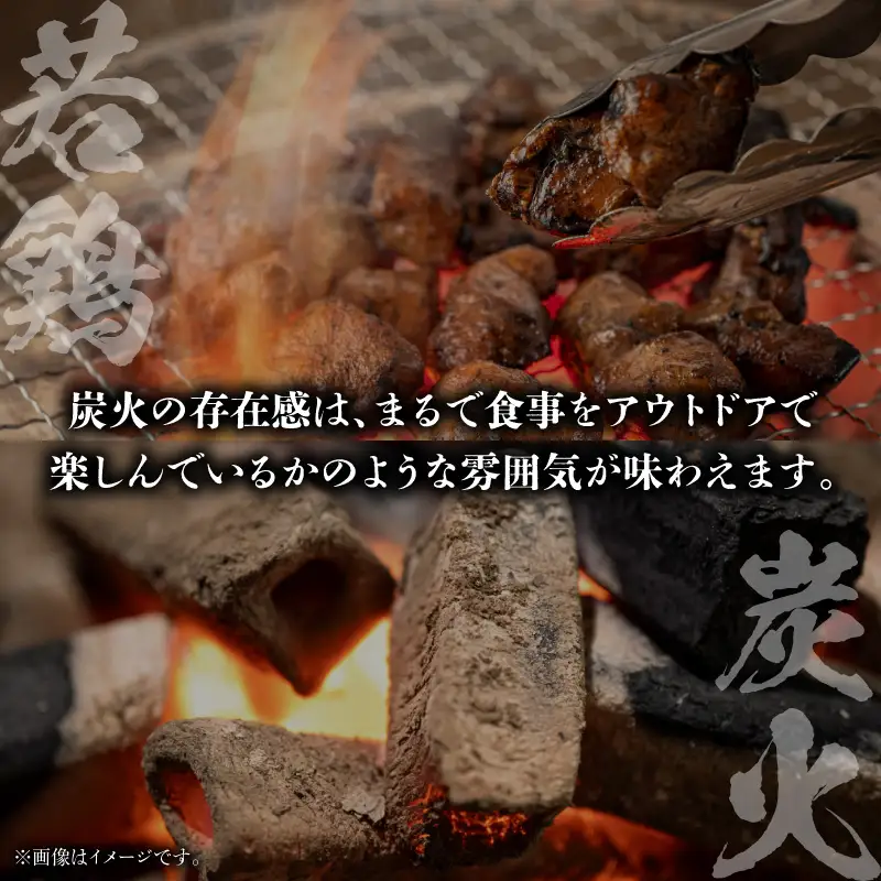 炭香る宮崎県産若鶏炭火焼スープカレー 計1.9kg スパイス ブレンド カレー
