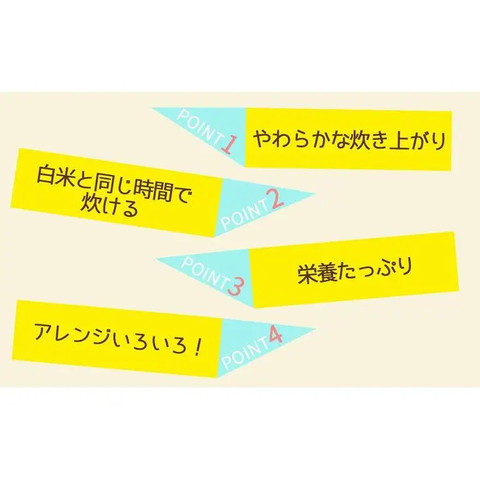 【定期便全12回】【栄養機能食品】白米と同じように炊けるやわらかい玄米 新潟県産コシヒカリ 900g×4袋（受注の翌月から毎月配送）